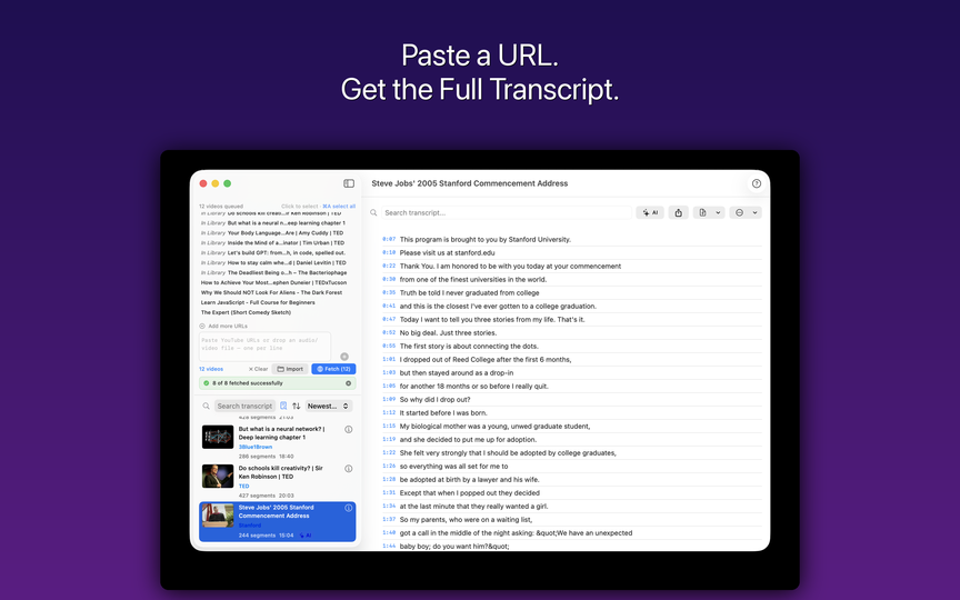 Vidgest main window showing a YouTube video transcript with timestamps