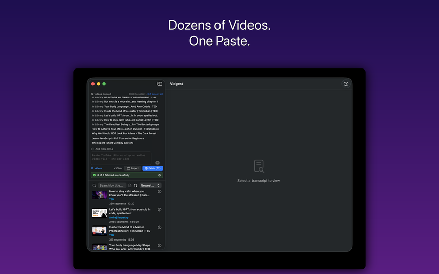 Vidgest batch input showing multiple YouTube URLs queued for transcript fetching
